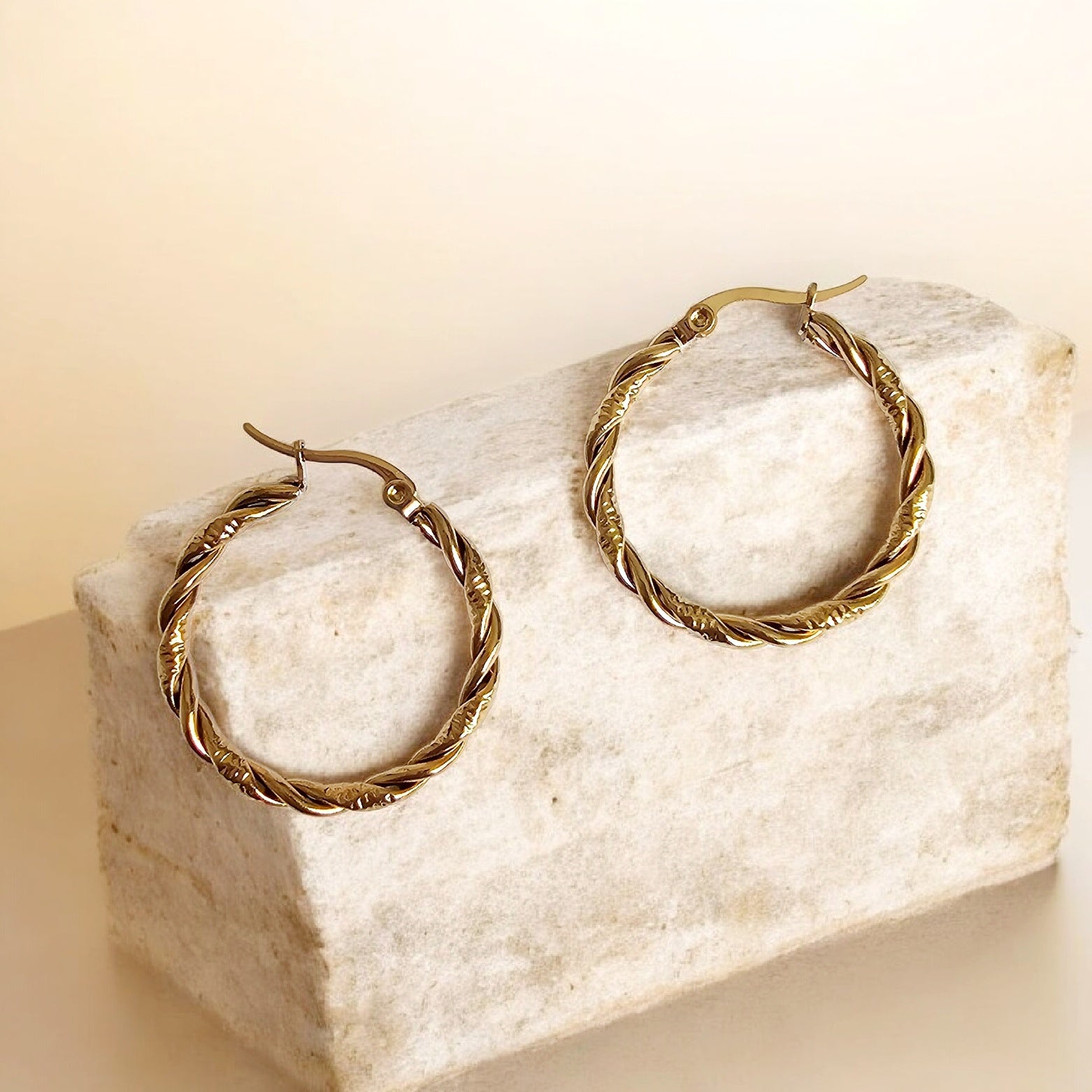The Classic Hoop Earrings