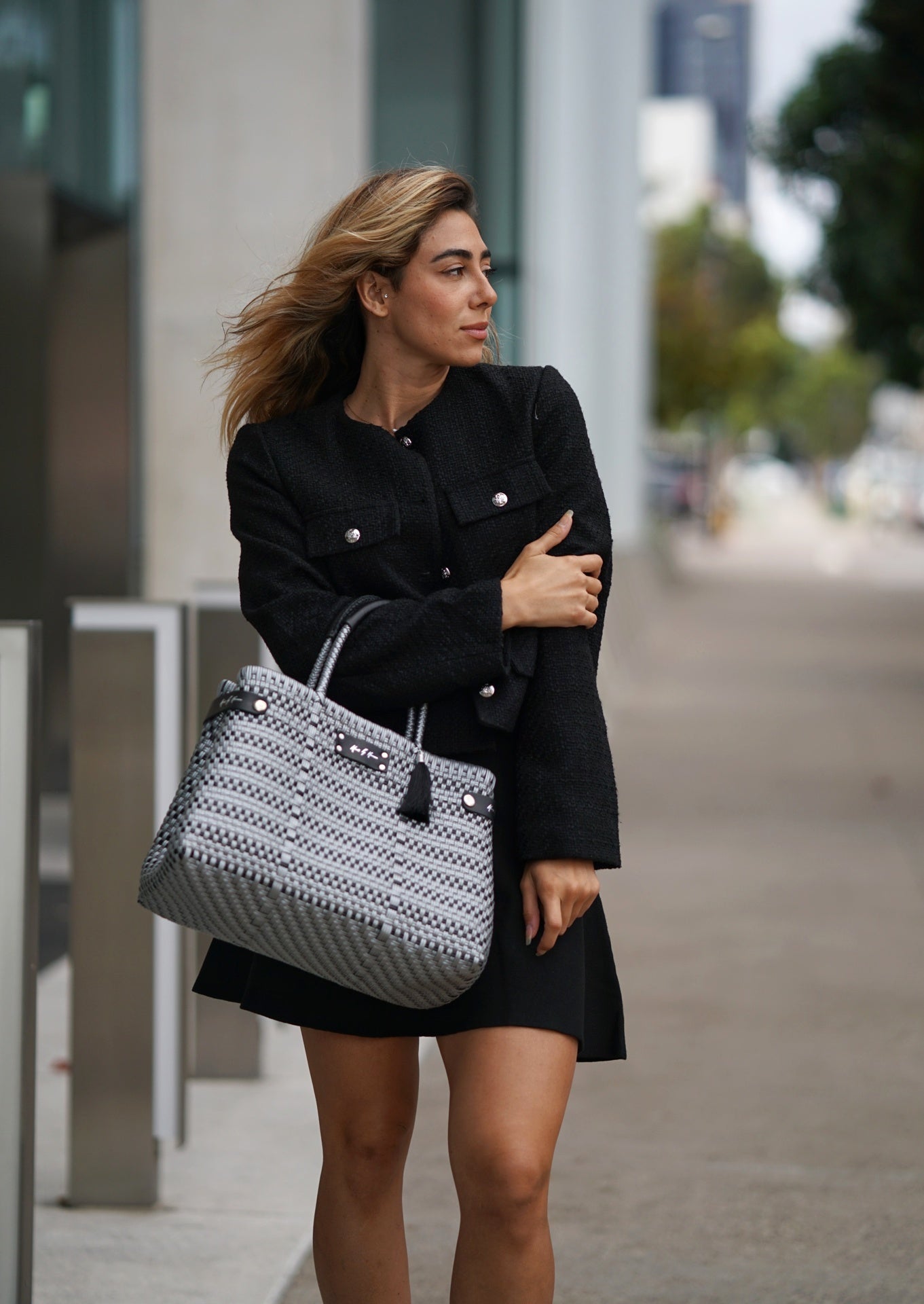 Luxury handbag in color silver and black